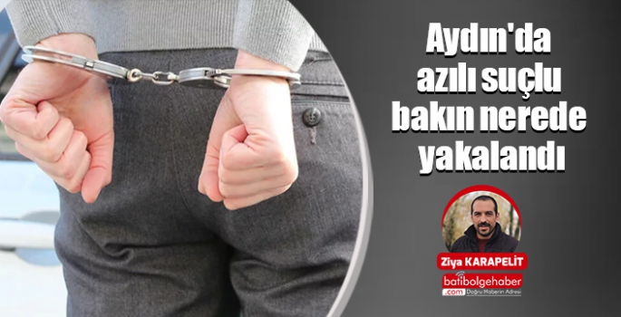 Aydın'da azılı suçlu bakın nerede yakalandı