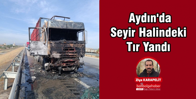 Aydın'da Seyir Halindeki Tır Yandı 