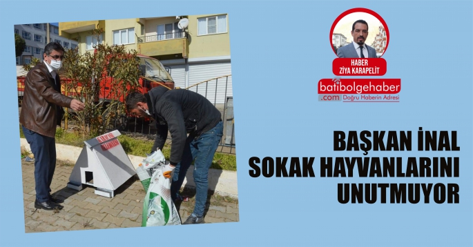 BAŞKAN İNAL SOKAK HAYVANLARINI UNUTMUYOR