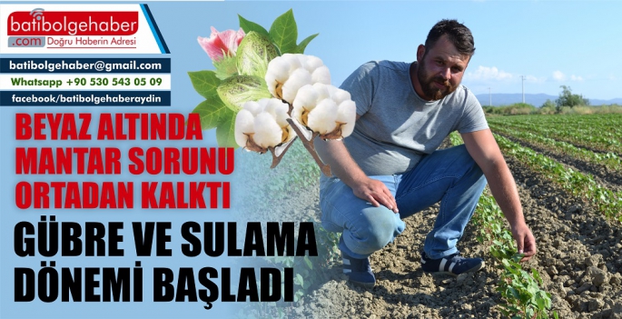 BEYAZ ALTINDA GÜBRE VE SULAMA DÖNEMİ BAŞLADI