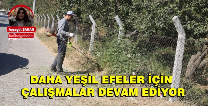 DAHA YEŞİL EFELER İÇİN ÇALIŞMALAR DEVAM EDİYOR