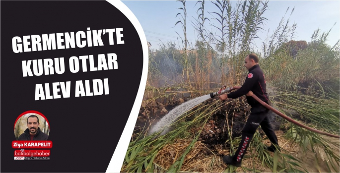 GERMENCİK’TE KURU OTLAR  ALEV ALDI