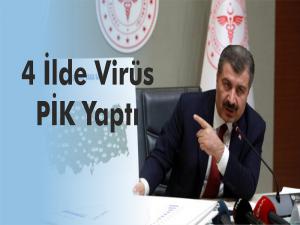 4 İlde Virüs PİK Yaptı