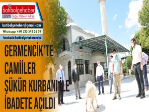 Germencik'te camiiler şükür kurbanı ile ibadete açıldı