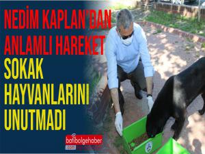 Kaplan'dan Anlamlı Hakreket Sokak Hayvanlarını Unutmadı