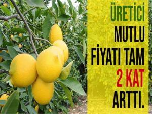 Limon fiyatları 2 ye katlandı.