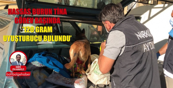 HASSAS BURUN TİNA GÖREV BAŞINDA ' GRAM UYUŞTURUCU BULUNDU'