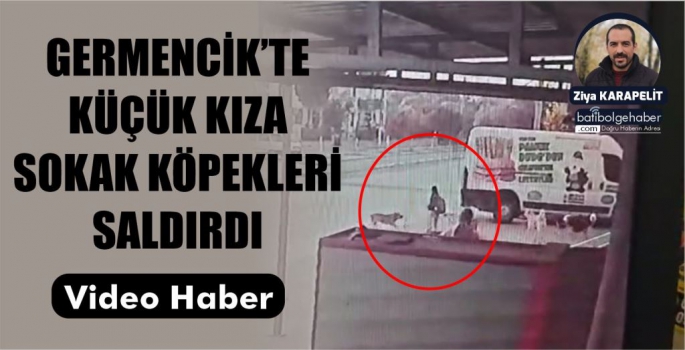 KÜÇÜK KIZA SOKAK KÖPEKLERİ SALDIRDI