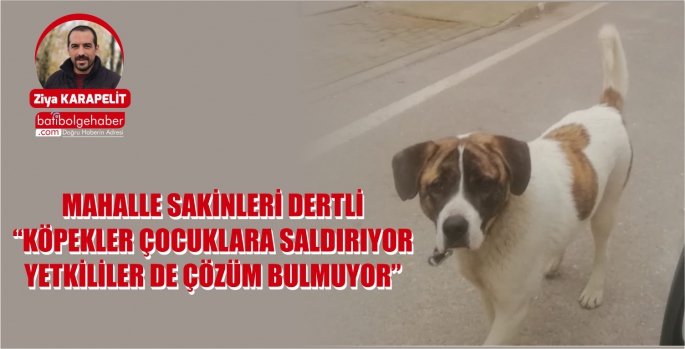 MAHALLE SAKİNLERİ DERTLİ 'KÖPEKLER ÇOCUKLARA SALDIRIYOR YETKİLİLER DE ÇÖZÜM BULMUYOR'